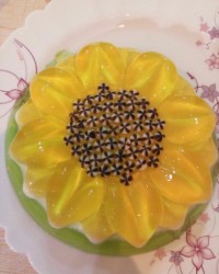 ژله افتاب گردان