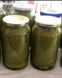 کنسرو برگ مو