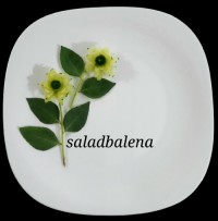 دورچین با خیار