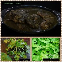 خورشت ترش واش