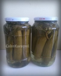 خیار شور یک روزه