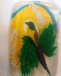 ژله پیشرفته