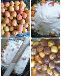 مربا زردآلو