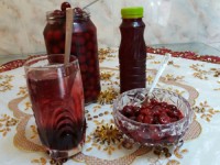 محصولات آلبالویی من