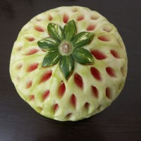 این یه طرح اولیه است