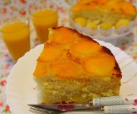 کیک زردآلو