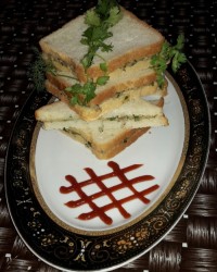 اسنک تن ماهی