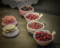 آلبالو خشکه