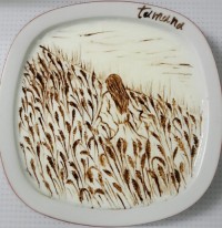 دختری در مزرعه گندم