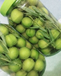 ترشی گوجه سبز
