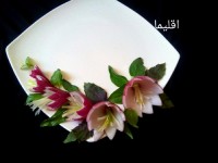 دورچین غذا