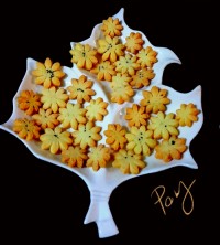 بیسکویت لبِ فنجانی