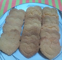 بیسکوییت کاسترد