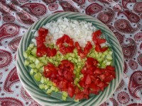 دیزاین سالاد شیرازی