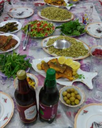 دورهمی عالی