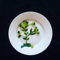 دورچین بشقاب ایده زیبا ساده