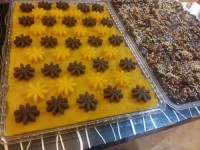 حلوا زعفرانی شکلاتی