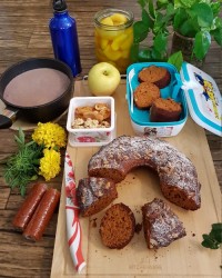 تغذیه مدرسه پسرم کیک با شیره انگور مقداری کمپوت سیب هم پختم