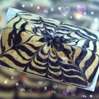 کـیک زبــرا