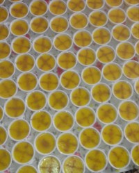 شعله زرد نذری