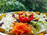 سالاد رژیمی