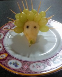 میوه ارایی جوجه تیغی