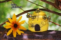 پای میوه ای مخصوص صبحانه