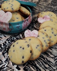 بیسکوئیت شکلات چیپسی