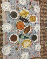 اینم شام امشب من قورمه سبزی ومرغ سالاد فصل