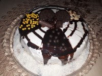 پودر کیک وانیلی،اولین بارکارکردن باخامه کشی