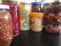 ترشی های امسال من?