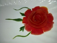 دورچین ساده