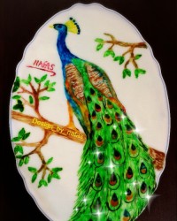 طراحی روی ماست