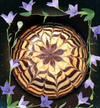 کــیک زبــرا