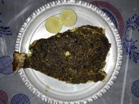 ماهی کباب با مرکبات