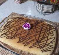 کیک در تابه دو طرفه رژیمی