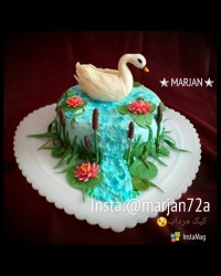 اینم یه کیک دیگه