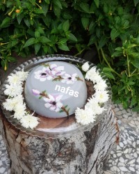 ژله سوپرایز