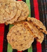 شیرینی وایلدرنس لوج (آلاسکایی)