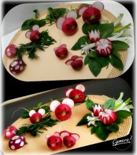 تزیین تربچه?