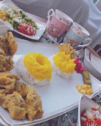 پلو قالبی و مرغ ماستی