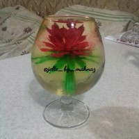 ژله تزریقی در جام کار هنرجو عزیزم