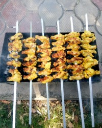 کتف زعفرونی