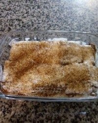 ترامیسو با بیسکویت پتی بور