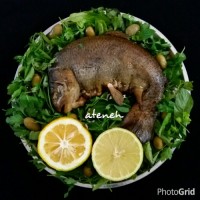 ماهی گرده بیج