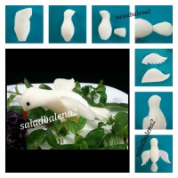 پرنده با ترب