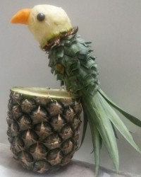 طوطی آناناسی