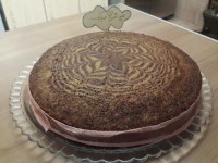 زبراکیک