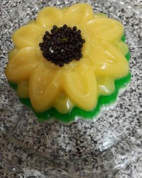 اینم ژله فاطمه پز