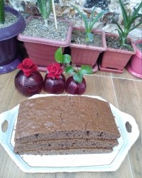 کیک ساده کاکائو ی